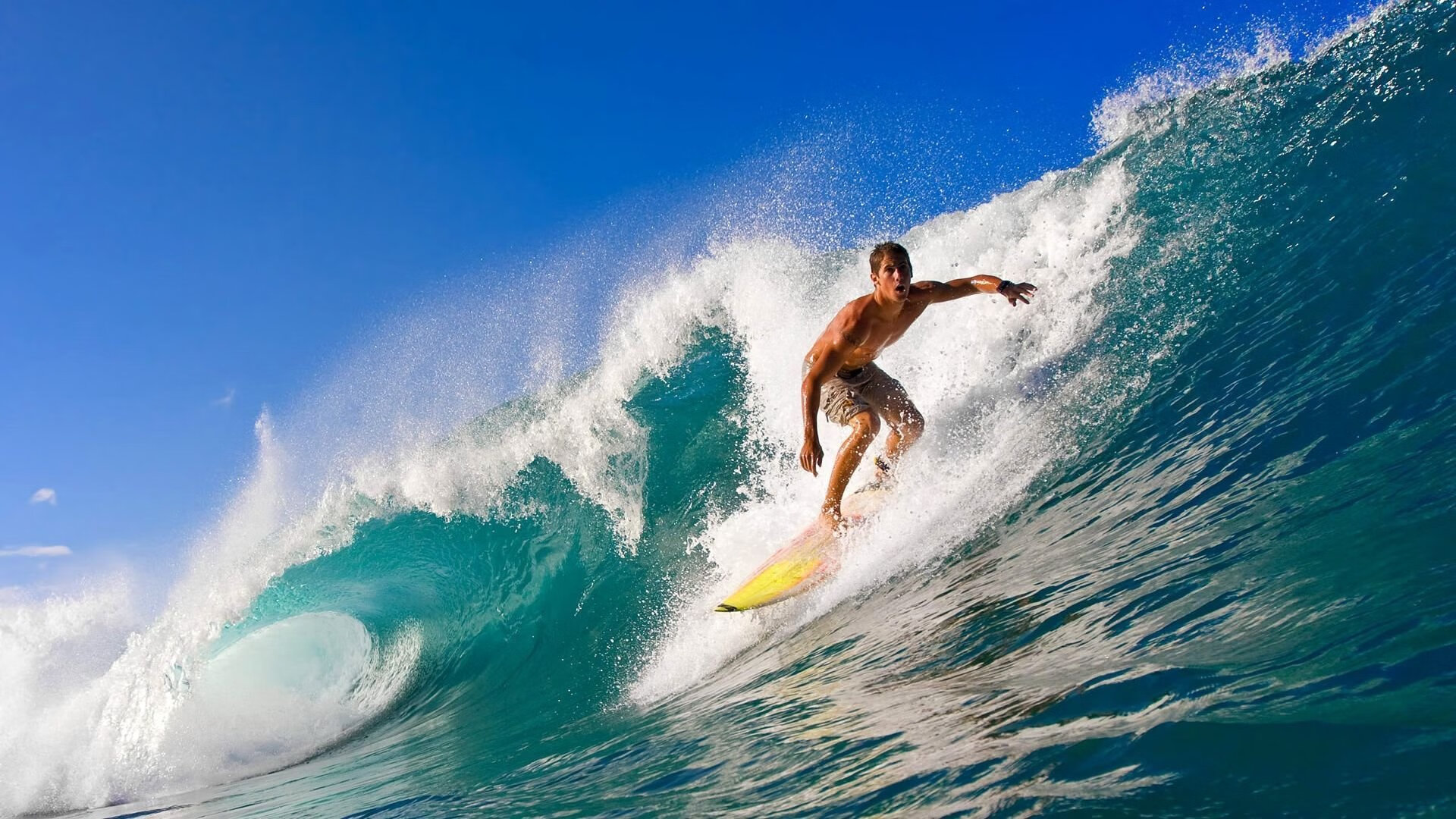 开云官方平台-_网络大奖赛：在线互动，跨越屏幕的激战_，网络竞技大赛